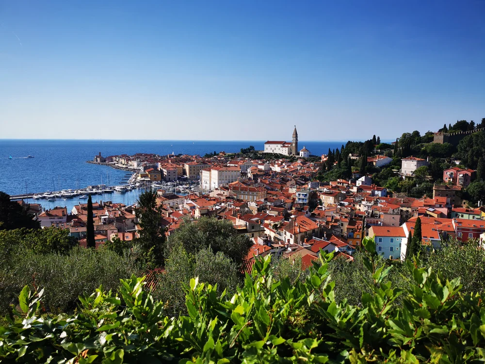 Panorama Pirana